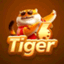 i6tigercombr