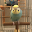 id:ichico530