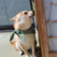 id:ikuchan198