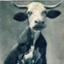 id:industofu