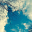 id:inoue-shinichi-1800