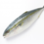 id:investmedical