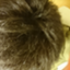 id:ishifujiluckyboy