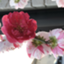 id:itsuki_piano