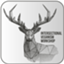 id:ivw_animals