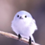 izayoim