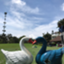 id:jakarta-golf