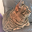 id:jamavosava