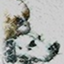 id:jijidangi