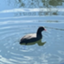 id:jijitsu-kinari