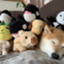 id:jinyatuhasi