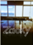 id:jp-zacky