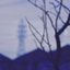 id:jteppei