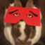 id:junbunny