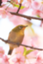 id:junya_noda