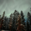 id:jwkpkmt2