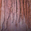 kaloranka
