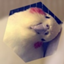 id:kamearuki
