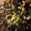 id:kamiyama_jun