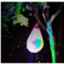 id:kanariainko