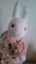 id:kangaeru59dpg7zo