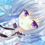id:kansohasyusyoku