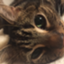 id:kappyhappy