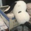 id:karugamob