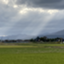 id:kashilog