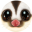 id:kasuga1192