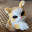 id:kasuyan86