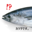 id:katsuwonosashimi