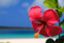 id:kawaiikawai