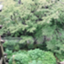 id:kawazusirazu