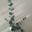 id:kayokohorie