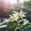 id:kazu-184chan