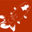 id:kazu-ranchu