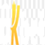 kbetsco8