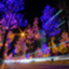 id:kengo_camera