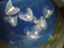 id:kiku_yuri52