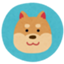 id:kikuchishumi