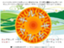 id:killtheking