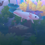 id:kimono-konoha