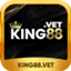 king88vet