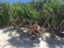 id:kinkinkinchang