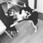 id:kinoko4230