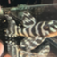 id:kinpeko7563