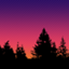id:kiraki-la