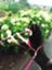 id:kiriconet