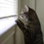 id:kirikkoblog